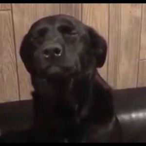 Meet your Posher, Kanesha